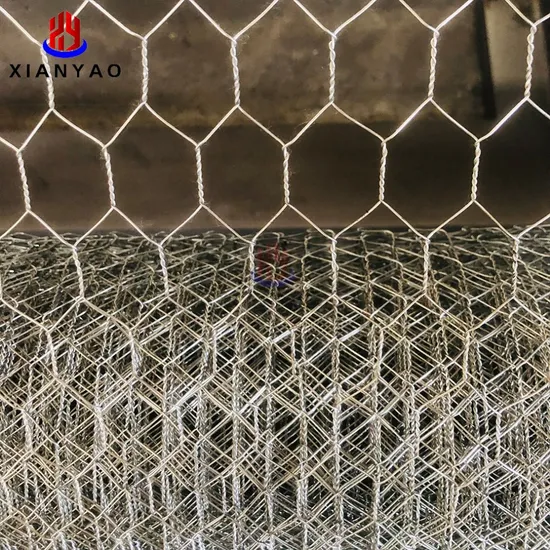 Galvanized Hexagonal Wire Mesh Poultry Netting