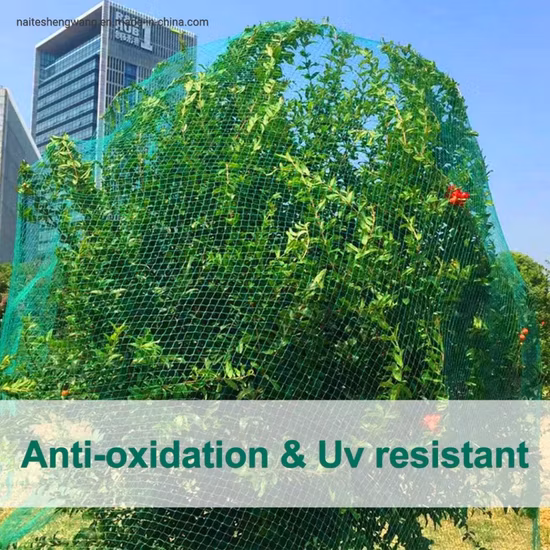 Gartennetz mit 6,1 cm quadratischem Netz, schützt Obstbäume, Pflanzen und Gemüse vor Geflügel, Hirschen und Schädlingen. Robustes Vogelnetz