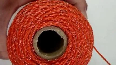 Hochwertiges, sicherheitsbetriebenes Polyseil zum Fabrikpreis von Lydite