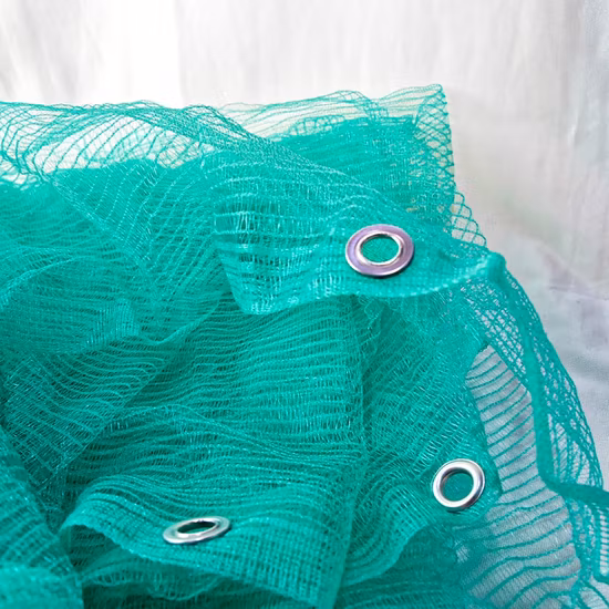 Fabrikgünstiger Preis mit Logo-Maschennetz für Gerüste für die Baustelle